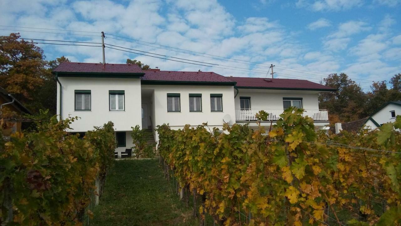 Ferienhaus Szapary II Eisenberg an der Pinka Exterior foto